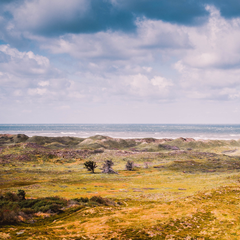 Course Image Projekt NORDMUS