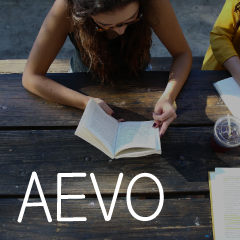 Course Image Ausbilder-Eignungsverordnung (AEVO)