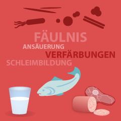 Course Image Chemie und Hygiene der Lebensmittel